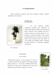www.speros.lt